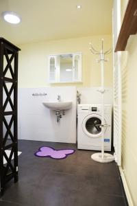 a bathroom with a washing machine and a sink at Charlotte House Heidelberg in Dossenheim