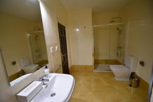 a bathroom with a sink and a toilet and a mirror at Casa Rural La Plaza in Valoria la Buena +18 photos