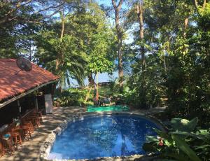 المسبح في Howler Monkey Hotel أو بالجوار