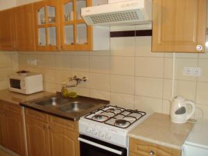a kitchen with a stove and a sink at Erik Apartments in Budapest