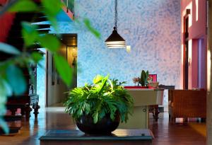 Istumisnurk majutusasutuses Dickman Resort "The Boutique Hotel"