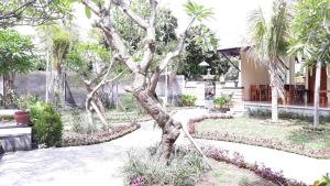 Giardino di RedDoorz Plus @ Singaraja