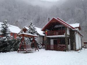 una cabaña de madera en la nieve con un columpio en Cabana Florea, en Rîu de Mori