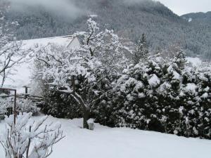 Pension Delacher during the winter