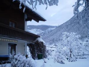 Pension Delacher during the winter