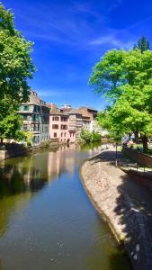 Gallery image of la terrasse Desaix in Strasbourg
