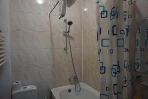 a bathroom with a shower and a tub and a toilet at Villa Tatiana on Lineinaya in Kaliningrad