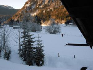 Seewiesenalm im Winter