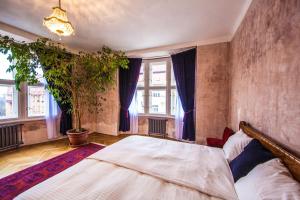 プラハにあるAuthentic Art Apartmentのベッドルーム(ベッド1台、鉢植えの植物付)