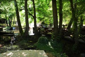Zahrada ubytování Garni Hotel Vila Drina