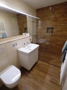 W łazience znajduje się toaleta, umywalka i prysznic. w obiekcie FeWo Käppchen Winterberg w mieście Winterberg