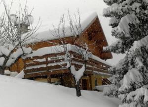 a building covered in snow with a tree in the foreground at la terrasse in Saint-Étienne-de-Tinée