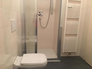 a bathroom with a shower and a toilet at Appartamento Nadia in Merano +30 photos