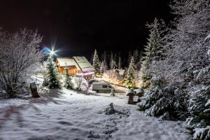 Zdjęcie z galerii obiektu Karpatska Villa w mieście Mikuliczyn