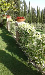 a garden with two vases on a fence with flowers at B&B La Piaggia in Montemerano