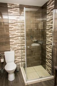 a bathroom with a shower with a toilet and a sink at Erzsébet Szálló in Csongrád