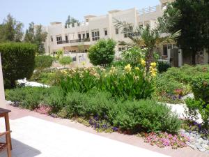 a garden with flowers in front of a building at Townhouse Ras al Khaimah in Ras al Khaimah