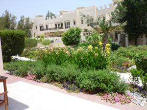 Zahrada ubytování Townhouse Ras al Khaimah