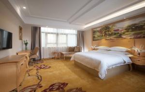 a bedroom with a large bed and a television at Greentree Inn Shenzhen Dongmen Business Hotel in Shenzhen