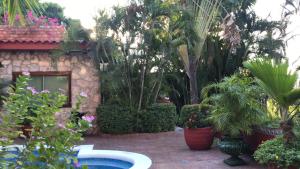 a garden with plants and a pool in front of a house at Casa Costera Miguel Alemán in Acapulco