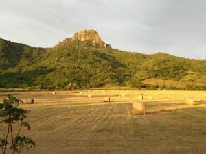 Peisaj natural din apropierea acestei camere de închiriat