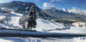 Apart Plattner v zime