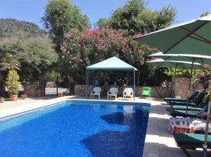Bazén v ubytování Kilim Hotel nebo v jeho okolí