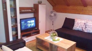 a living room with a couch and a table with a tv at Apartments Smirnov in Drežnik Grad