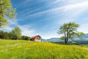 ein Haus auf einem Hügel auf einem Blumenfeld in der Unterkunft Chalet Hageberg ab Mai freie Fahrt mit Bergbahnen in Bolsterlang