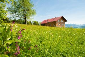 Naturlandschaft in der Nähe des Chalets