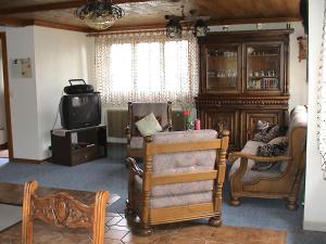 a living room with a chair and a tv at Haus-Aristella in Riederalp