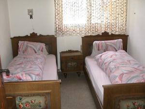 a bedroom with two beds and a window at Haus-Aristella in Riederalp