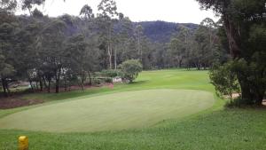 un campo da golf rigoglioso con una persona che ci gioca di Bella Vista Luxury Apartments Nuwara Eliya Sri Lanka a Nuwara Eliya
