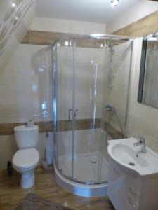 a bathroom with a shower and a toilet and a sink at Pokoje u ZośkiP in Zakopane