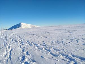 ペツ・ポト・スニェシュコウにあるUbytování v soukromí Koubaの山を背景にした雪原
