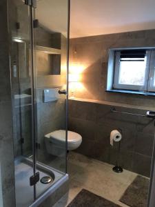ein Badezimmer mit Toilette und Glasdusche in der Unterkunft Ilmhaus 2 in Gaden bei Pförring + 37 Fotos