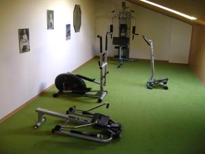 Fitness centrum a/nebo fitness zařízení v ubytování Galeria Tennis