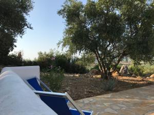 Fotografie z fotogalerie ubytování Ferienhaus Olive Garden v destinaci Kyparissia