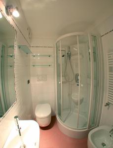 W łazience znajduje się prysznic, toaleta i umywalka. w obiekcie Appartamenti Majon Ladina w mieście Vigo di Fassa