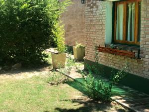 Zahrada ubytování Hotel Complejo Najul Suites-Solo Adultos