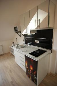 Kuchyň nebo kuchyňský kout v ubytování Zagreb Studio Apt No.2