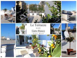 un collage de photos avec des oranges et des plantes dans l'établissement Gatto Bianco Le Terrazze, à Bari