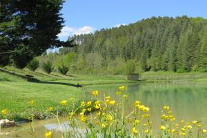 IssacにあるLe jardin des paonsの野原前の黄色い花の池