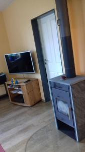 een woonkamer met een open haard en een televisie bij Fewo 2 Ferienwohnung Waren Müritz - Haus Buchen am Tiefwarensee - 2 Zi in Waren