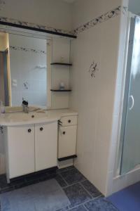 a bathroom with a sink and a shower at Le jardin des paons in Issac