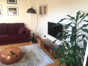 Televízia a/alebo spoločenská miestnosť v ubytovaní Apartamento Conde Luna