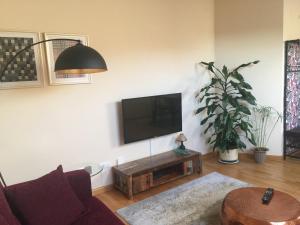 Televízia a/alebo spoločenská miestnosť v ubytovaní Apartamento Conde Luna