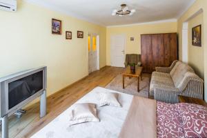 ein Wohnzimmer mit einem großen Flachbild-TV in der Unterkunft Apartment Krakivska 15 in Lwiw