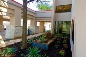 Zahrada ubytování Ramada by Wyndham Austin South
