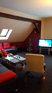 a living room with a christmas tree and a tv at Apartament Nina in Wisła